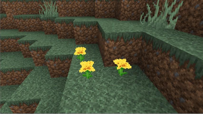 Faithful Texture PAck 32 java