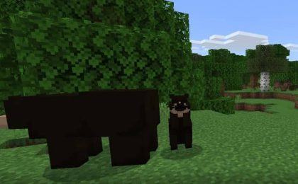 black bear addon minecraft