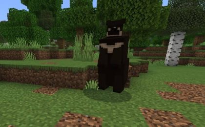 black bear minecraft bedrock