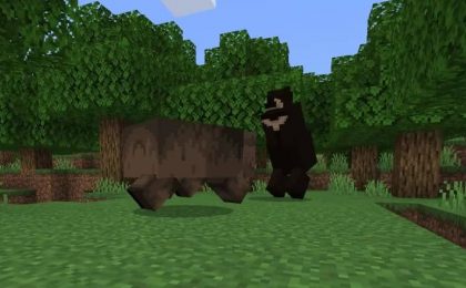 black and grizzly bear fight