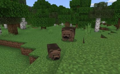 grizzly bear minecraft bedrock