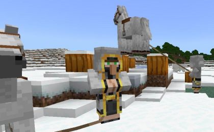 snow2