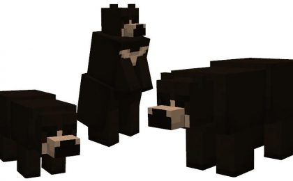 black bear addon bedrock