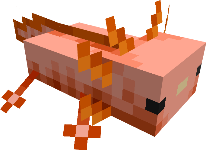 red axolotl