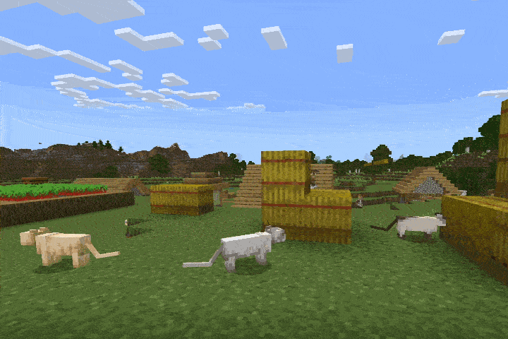 cat jump