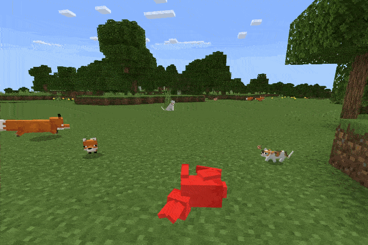 fox run