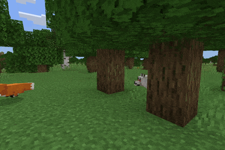 wolf run