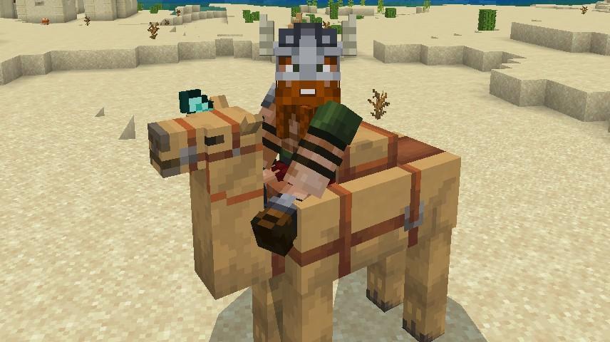 camel addon 03
