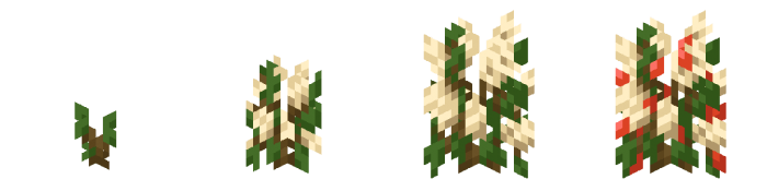 chikorita lovers coffee addon 3